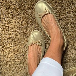 Tommy Bahama flats